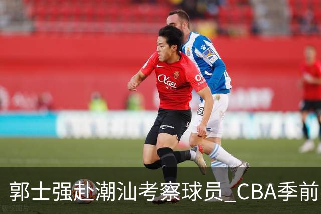 郭士强赴潮汕考察球员 CBA季前赛见证新生代的崭露头角